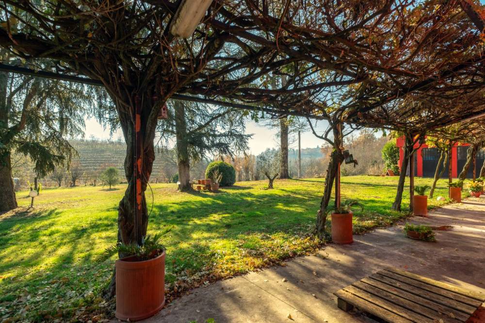 immagine annuncio 3 di 13