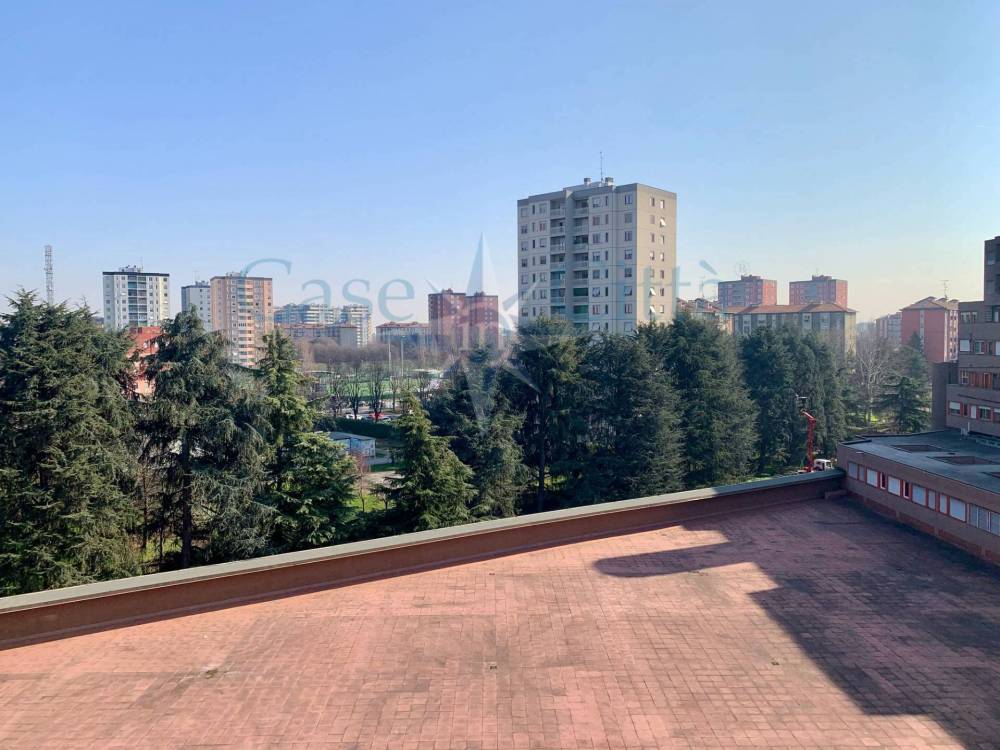 immagine annuncio 11 di 13