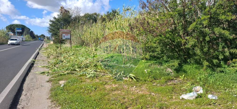 immagine annuncio 5 di 6