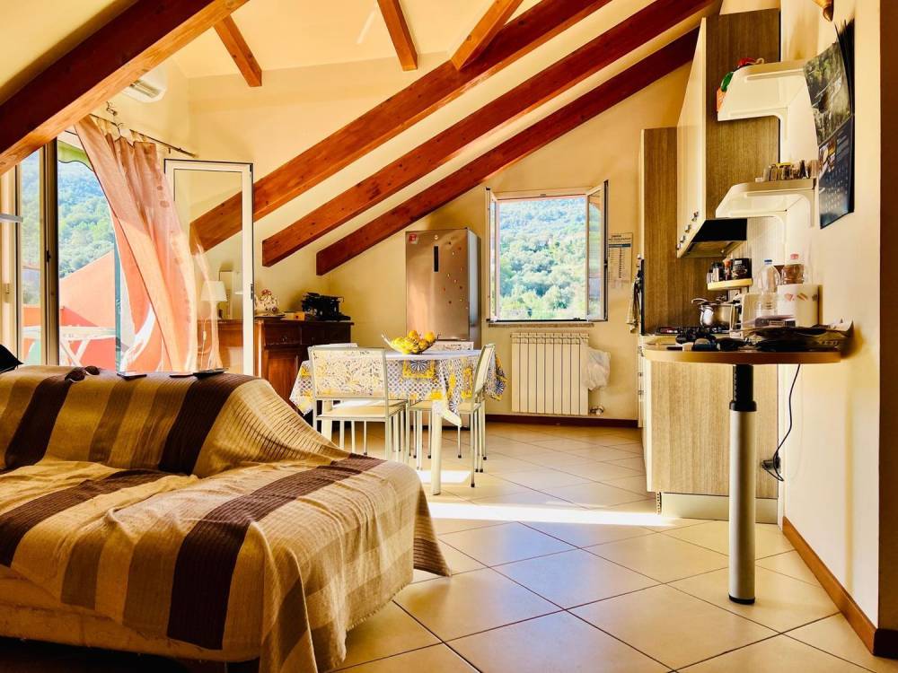 immagine annuncio 3 di 13