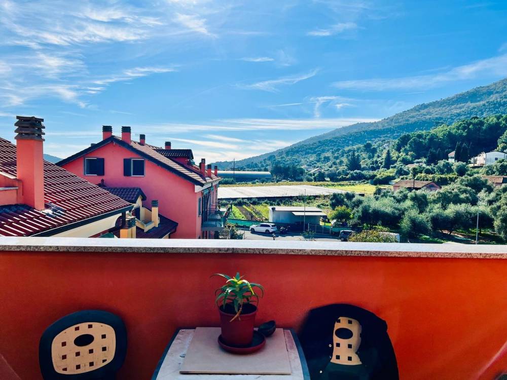 immagine annuncio 12 di 13