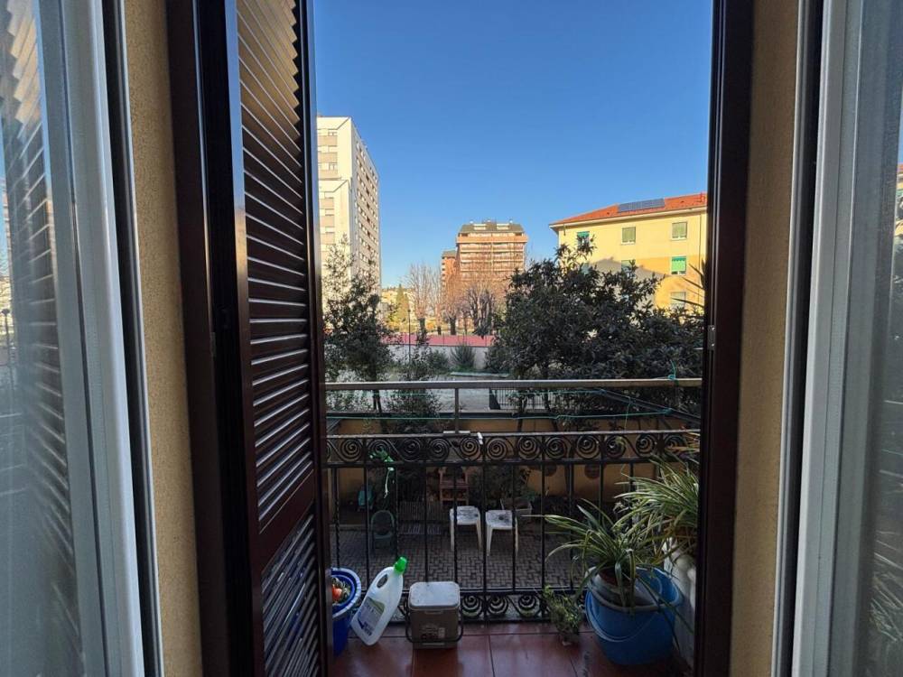 immagine annuncio 3 di 11