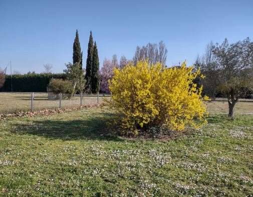 immagine annuncio 4 di 13