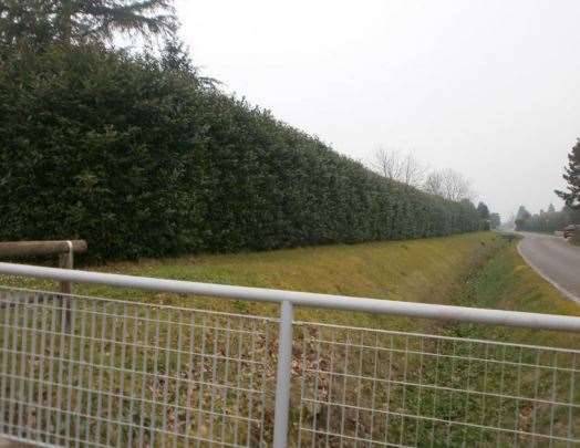 immagine annuncio 5 di 13