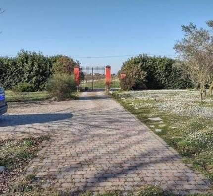 immagine annuncio 8 di 13