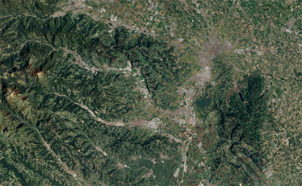 immagine annuncio 3 di 12