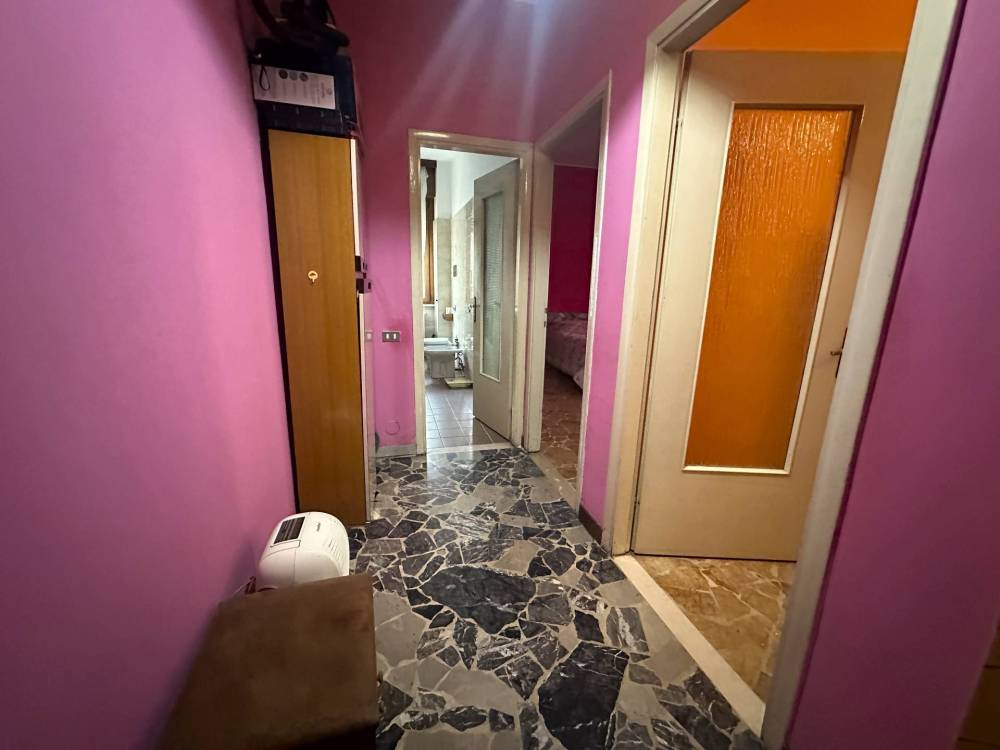 immagine annuncio 6 di 11