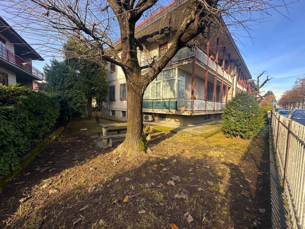 immagine annuncio 10 di 11