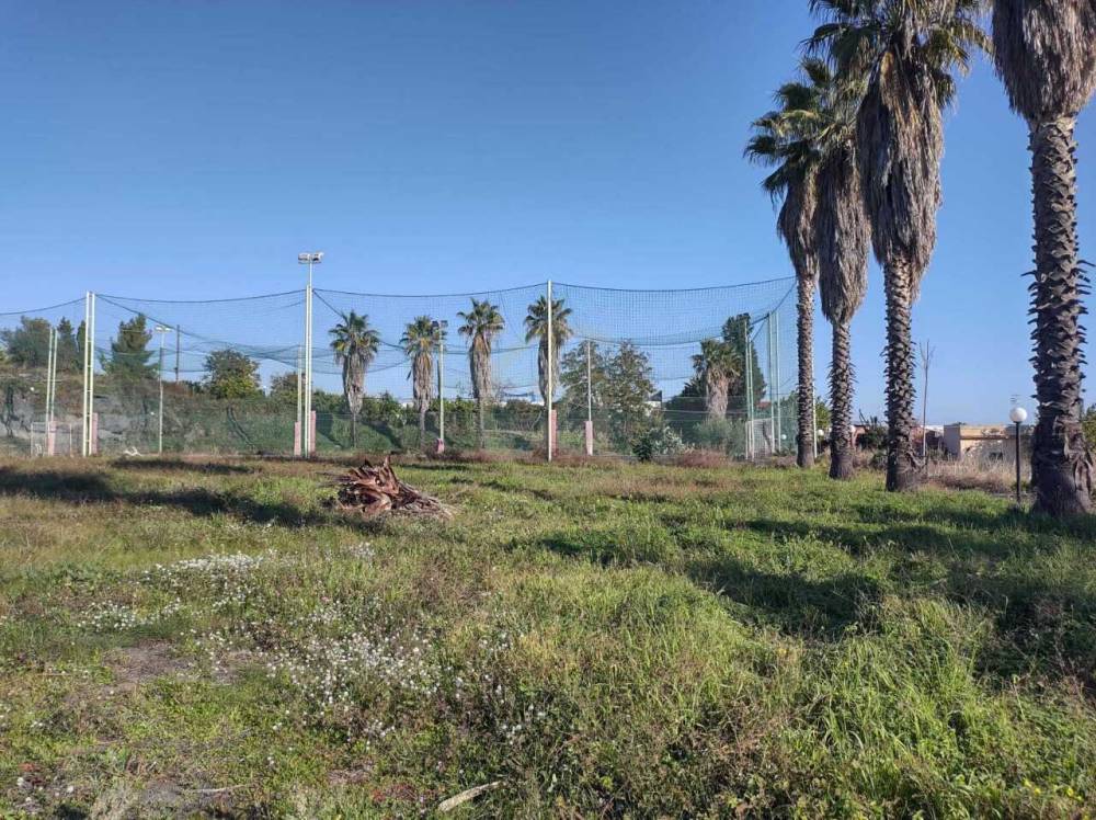 immagine annuncio 13 di 14