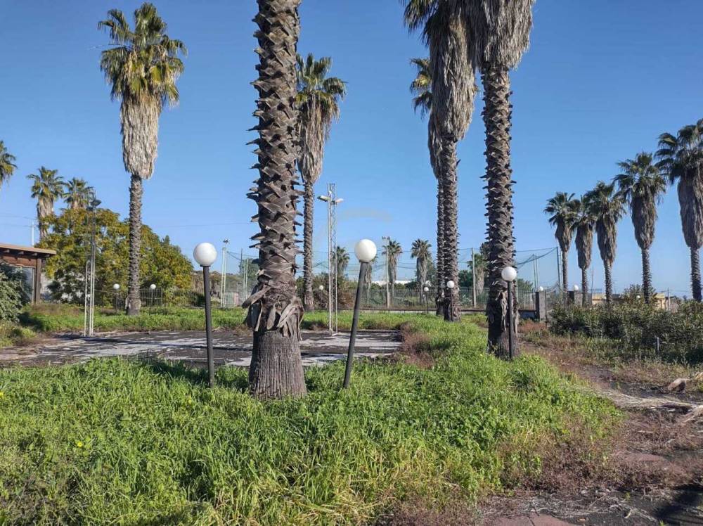 immagine annuncio 12 di 14