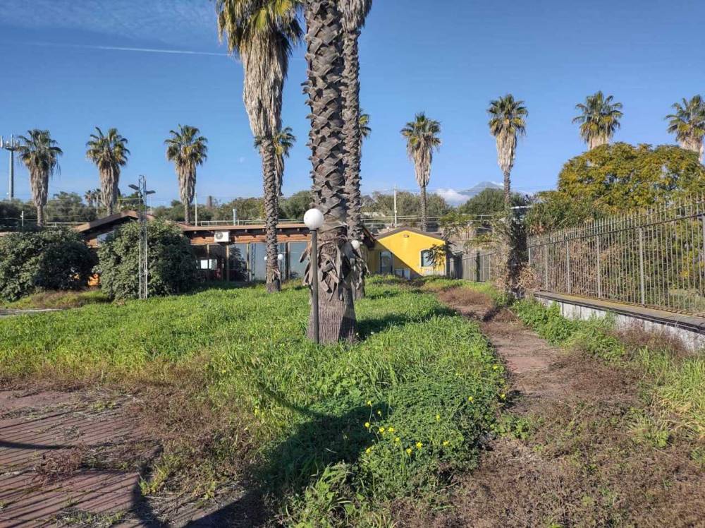 immagine annuncio 11 di 14