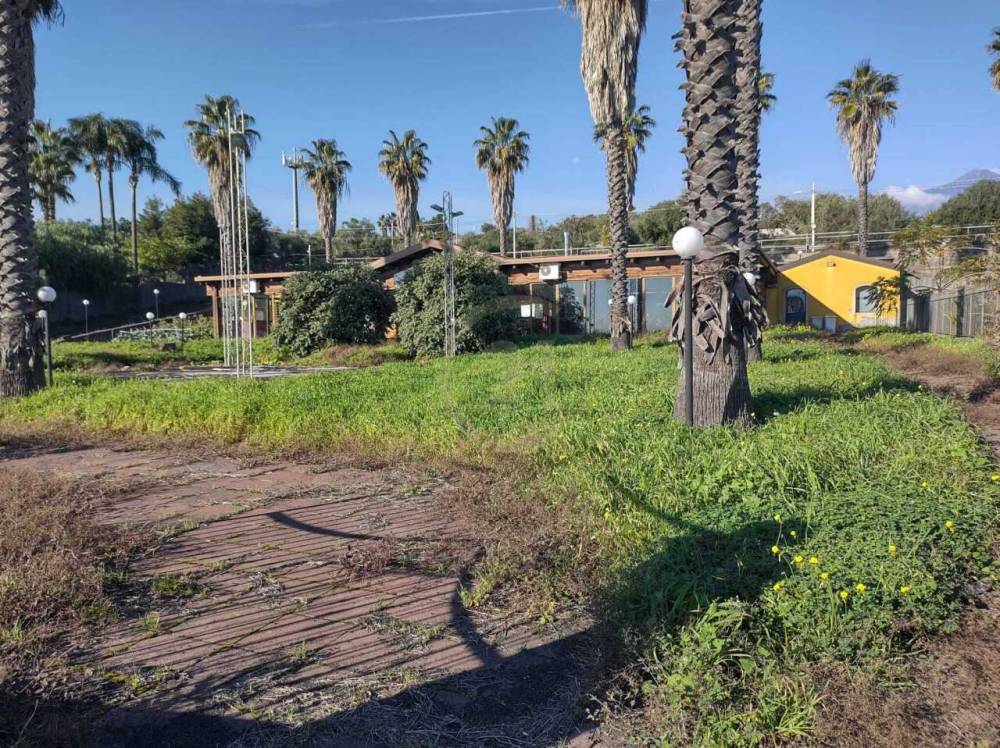 immagine annuncio 1 di 14