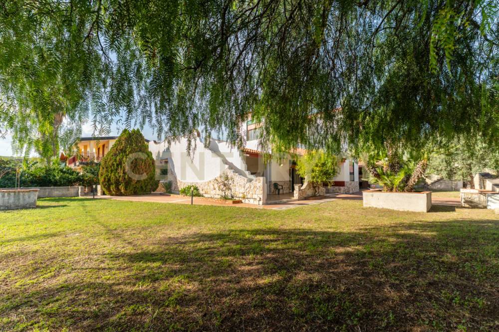 immagine annuncio 4 di 13