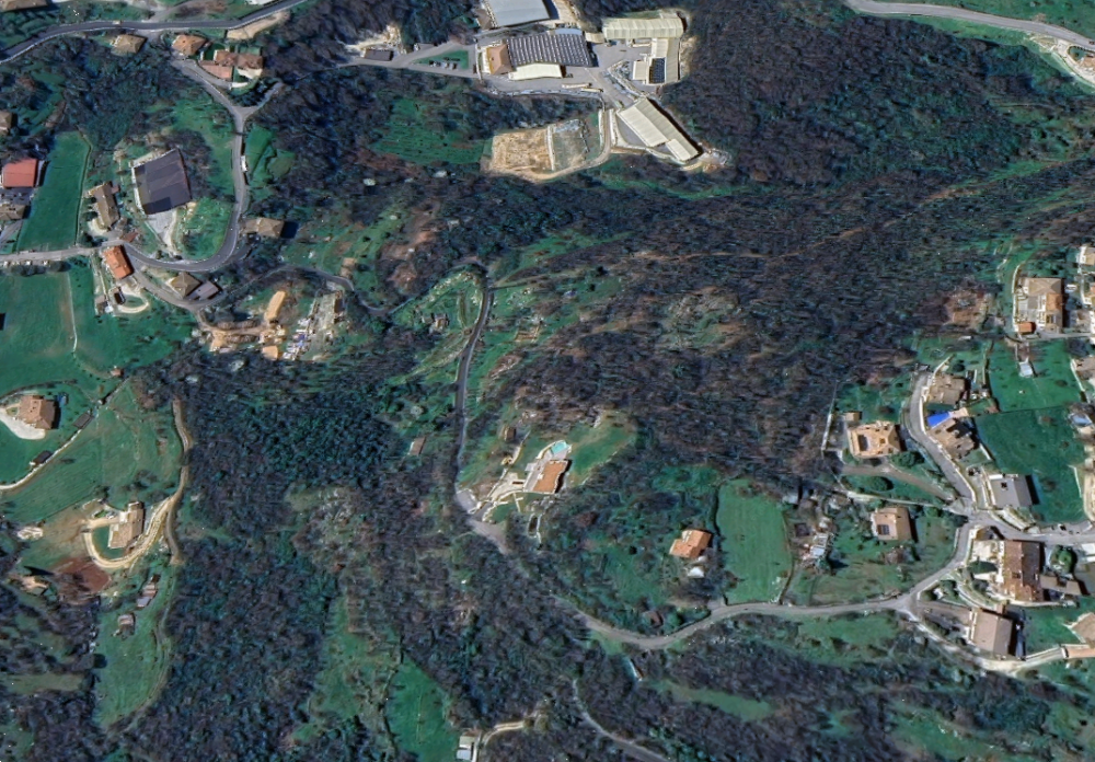 immagine annuncio 2 di 8