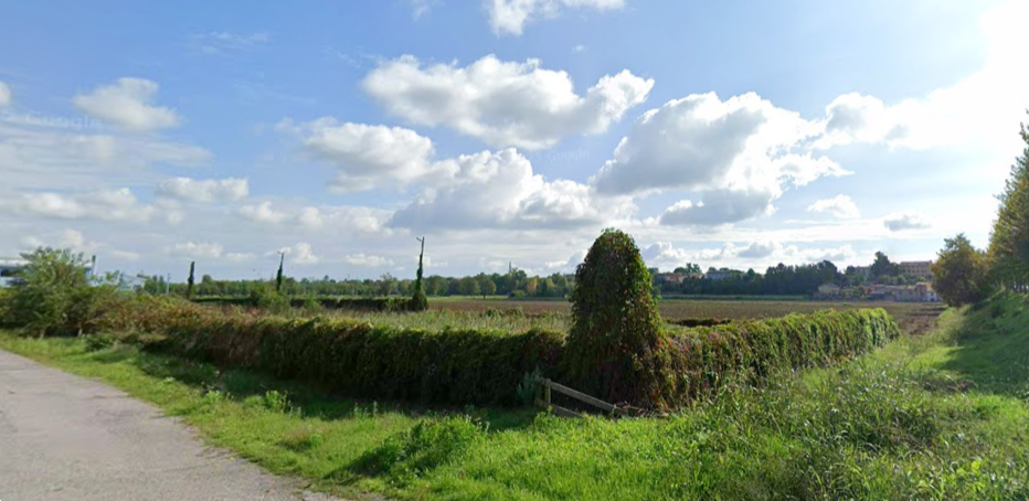 immagine annuncio 7 di 13