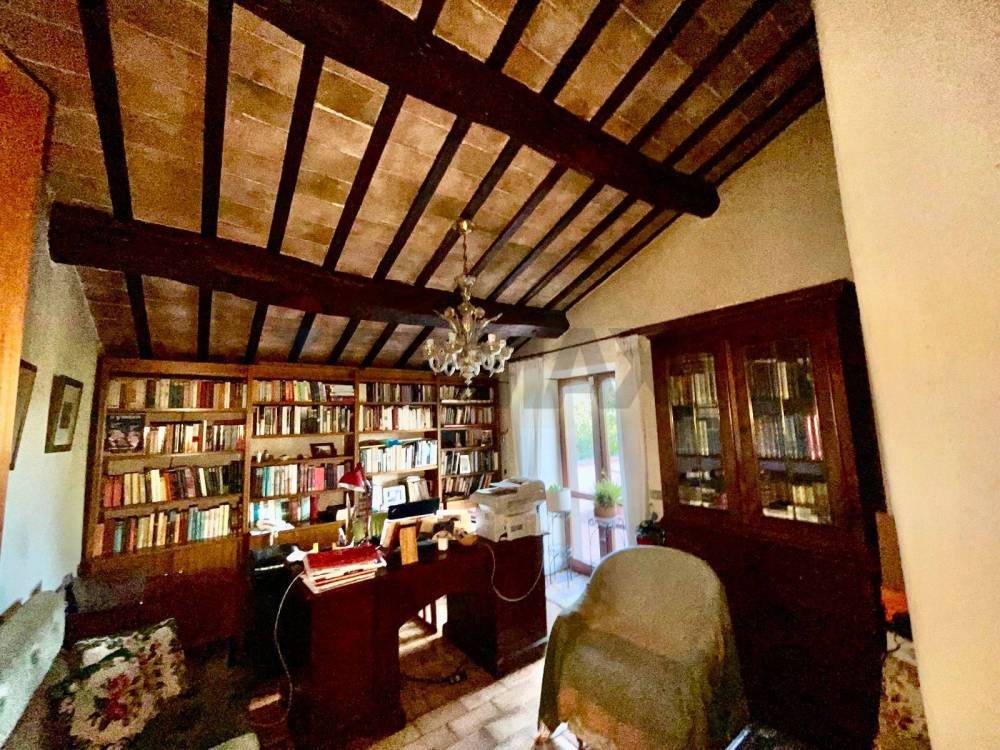 immagine annuncio 11 di 14