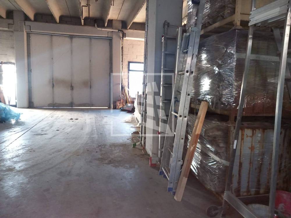 immagine annuncio 9 di 12