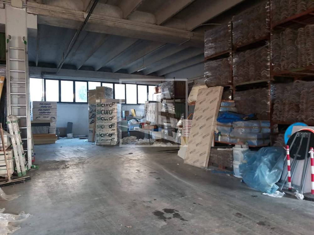 immagine annuncio 11 di 12