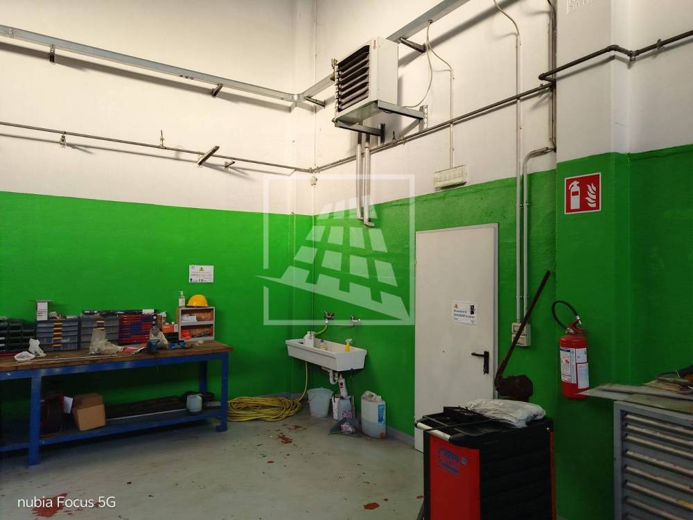 immagine annuncio 6 di 13