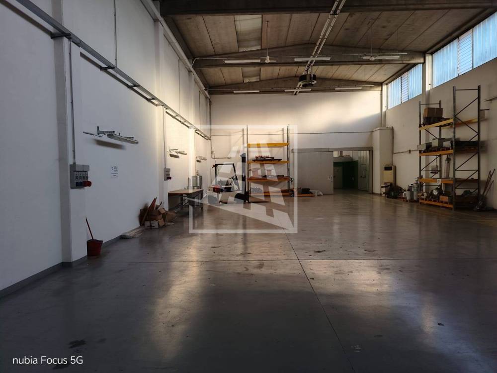 immagine annuncio 2 di 13