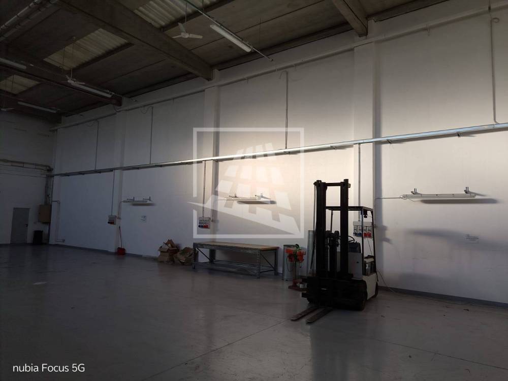 immagine annuncio 3 di 13