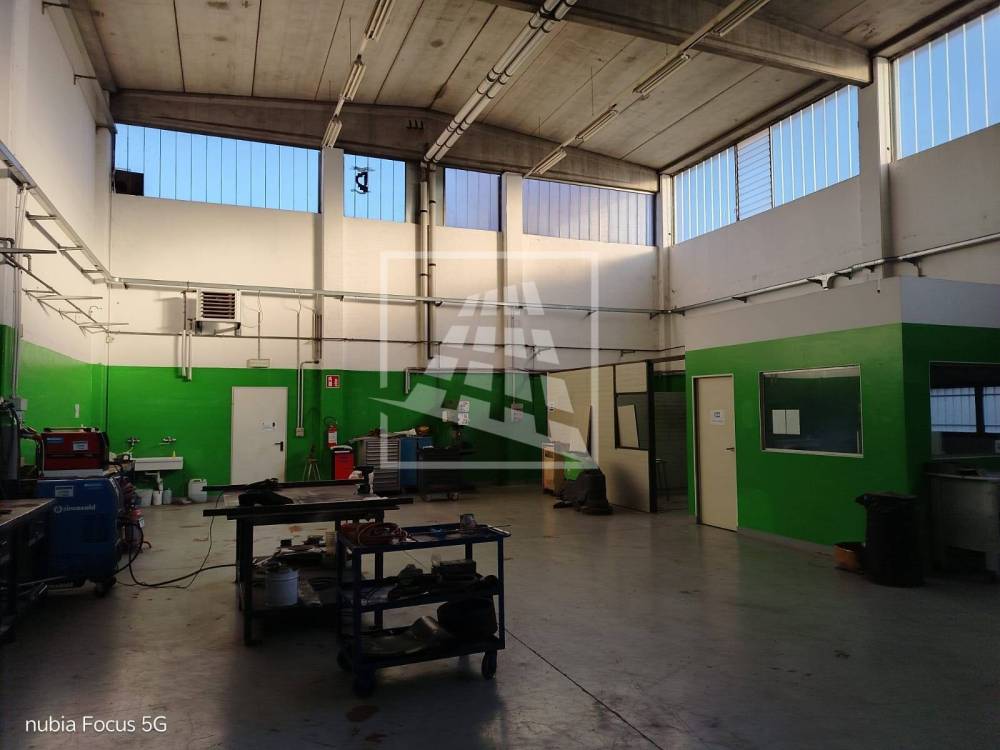 immagine annuncio 9 di 13