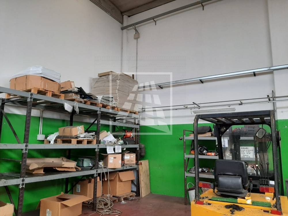 immagine annuncio 11 di 13