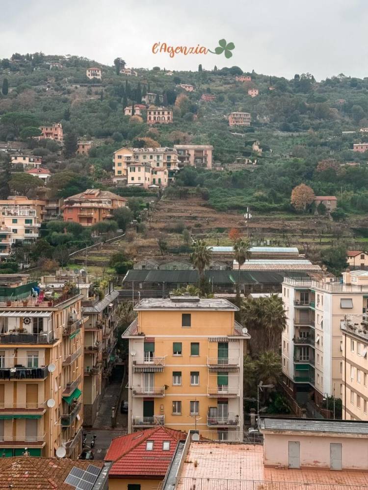 immagine annuncio 0 di 15