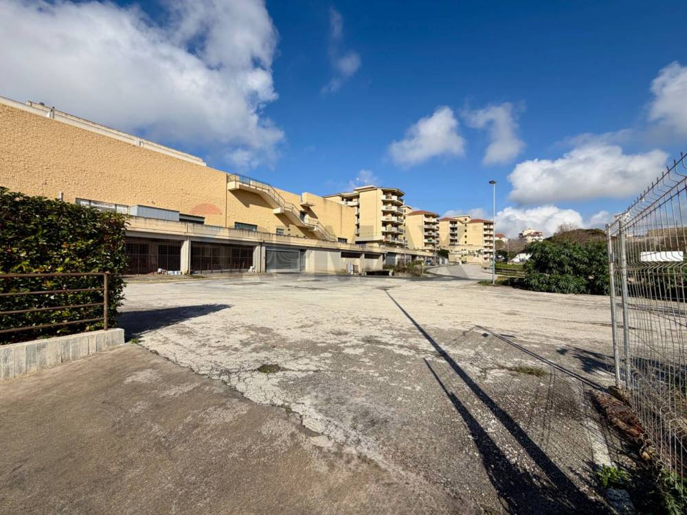 immagine annuncio 2 di 8