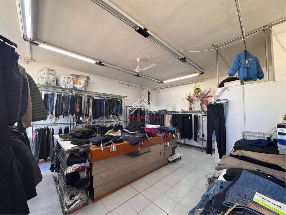 immagine annuncio 2 di 13