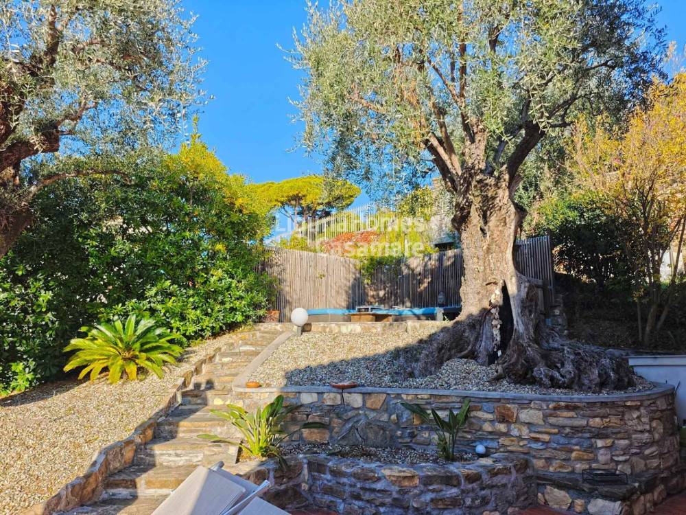 immagine annuncio 2 di 8