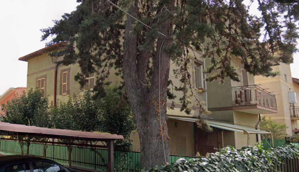 immagine annuncio 9 di 13