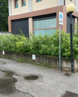 immagine annuncio 3 di 13