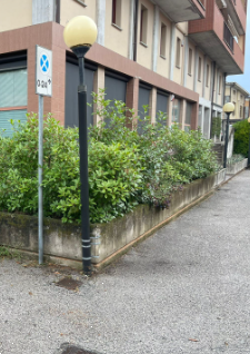 immagine annuncio 4 di 13