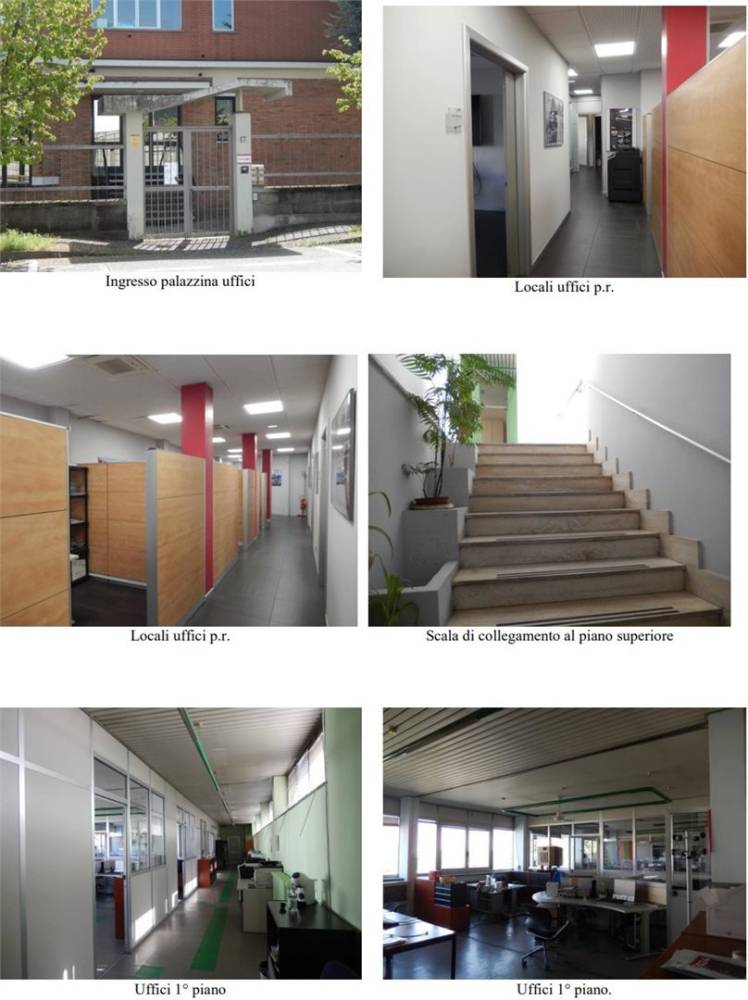 immagine annuncio 2 di 9