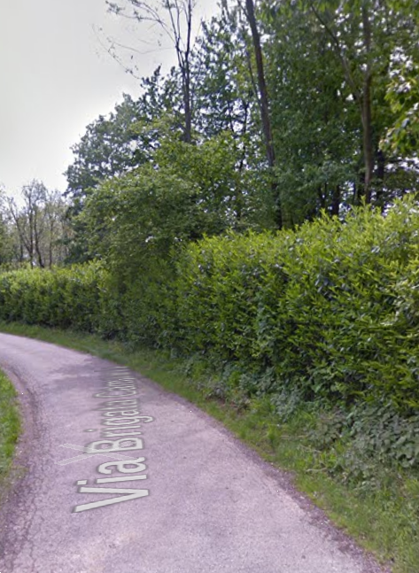 immagine annuncio 11 di 13