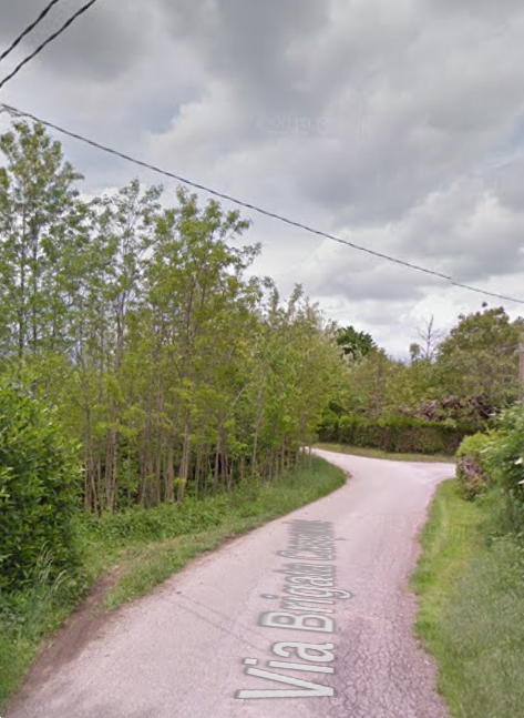 immagine annuncio 12 di 13