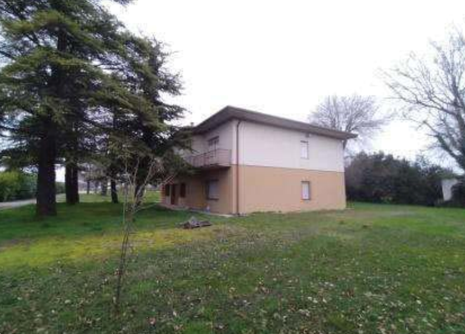 immagine annuncio 6 di 13