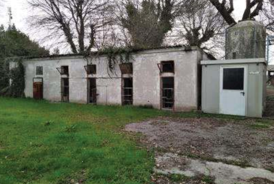 immagine annuncio 7 di 13