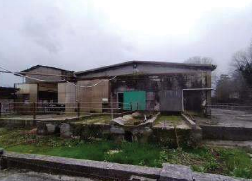 immagine annuncio 10 di 13