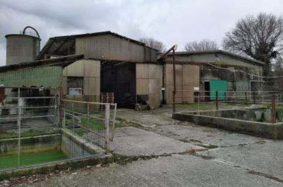 immagine annuncio 11 di 13