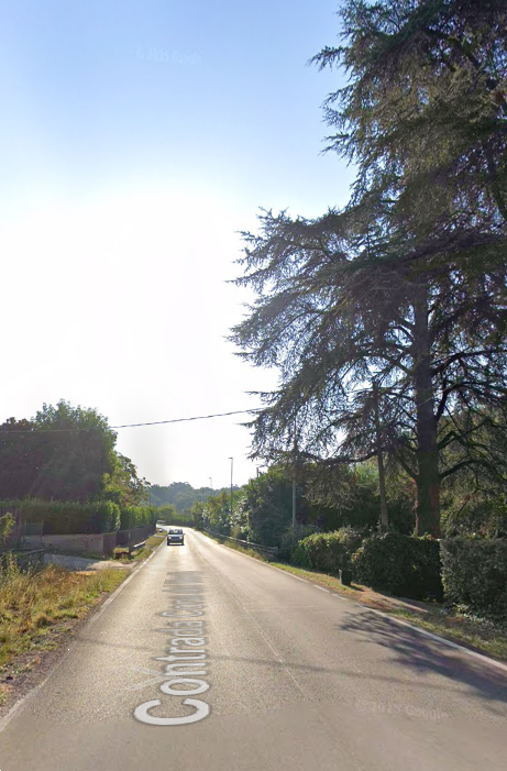 immagine annuncio 7 di 13