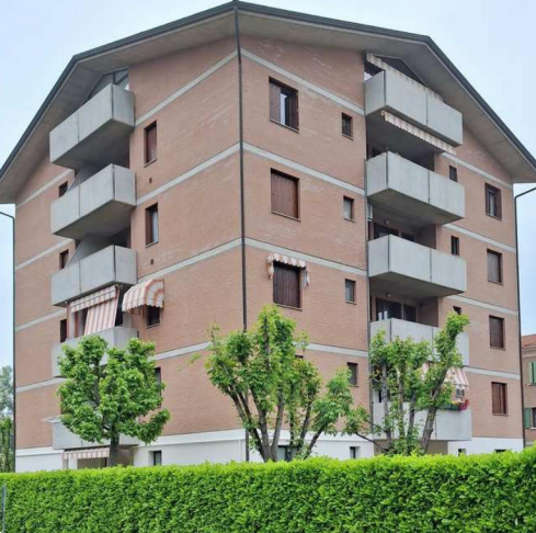 immagine annuncio 7 di 13