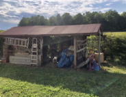 immagine annuncio 11 di 13