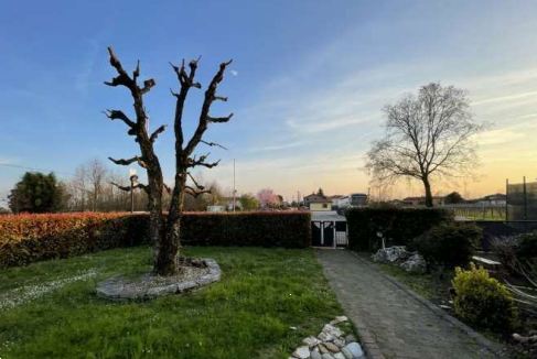 immagine annuncio 1 di 13