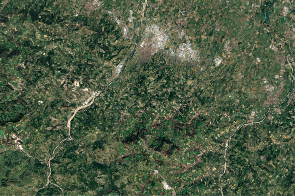 immagine annuncio 3 di 13