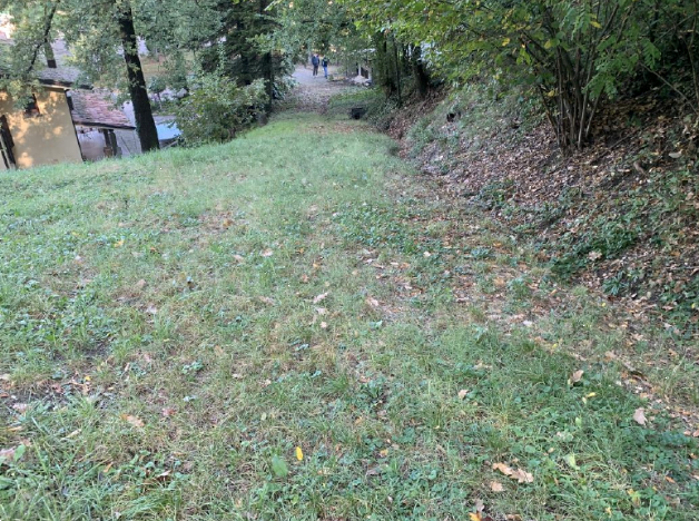 immagine annuncio 2 di 13