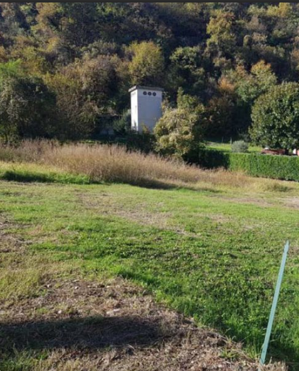 immagine annuncio 1 di 12