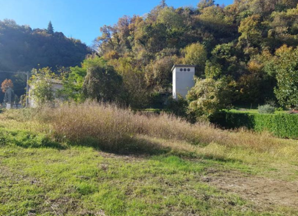 immagine annuncio 2 di 12