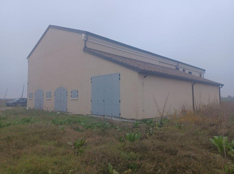 immagine annuncio 3 di 13